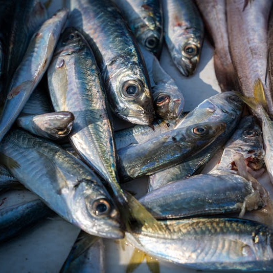 pescheria